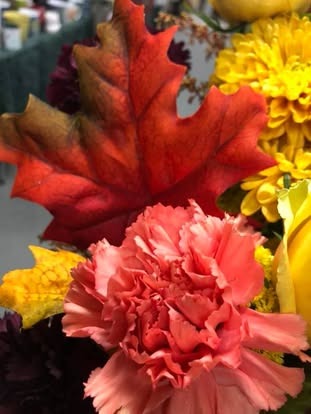 Everyday Fall Carnation Closeup — Everyday floral arrangement by Long's Florist